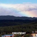 백두그린 이미지