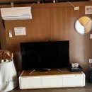 선라이즈글램핑 이미지