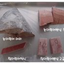 수정체육사 이미지