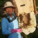 김용수농장 이미지