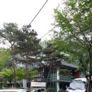 강서구립봉제산노인복지센터 이미지