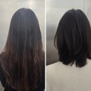 송정헤어클리닉