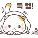 열려라 참깨 이미지