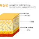 사랑미소의원 네이버블로그