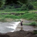 석암농장 이미지