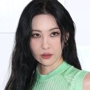 선미디자인 이미지