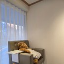 백신초등학교 후문 이미지