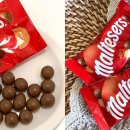 초코볼엔터테인먼트 이미지