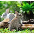 웰빙타운 이미지