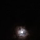 휘찬