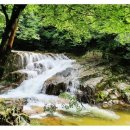 인제17-1 이미지