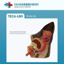 성심동물의료센터 이미지