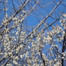 라끄블랑 | 대구 라테라스 웨딩 라끄블랑홀 하객 후기 | 주차, ATM, 뷔페