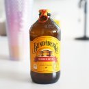 자연발효 탄산음료 맥주 대신 마시기 좋은 분다버그 진저비어
