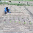 광진농장 이미지