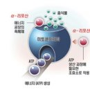 신데렐라파크 이미지