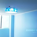 에덴벽지상사 이미지