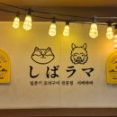 시바라마2 이미지