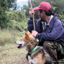 천둥축산 이미지