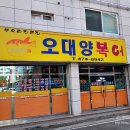 오대양복어 이미지