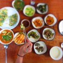 태성식당 Daum카페