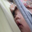 영유아놀이방 | 강북구 육아종합지원센터 무료 장난감 대여 영유아놀이방 여름 물놀이장 이용 후기