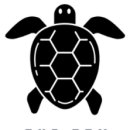 터틀투맨 이미지