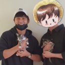 갑수농장 이미지