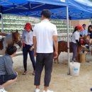 토금산업 이미지