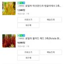 영플랜츠&갤러리영