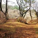 진설목장 이미지