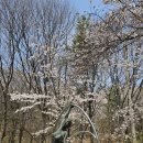 김창환 동산의추억 이미지