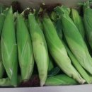 추동농장 이미지