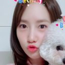 나온다식당 이미지