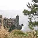 선배네농장 이미지