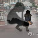 복지 강원도민일보