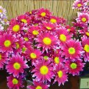 동산농원 이미지