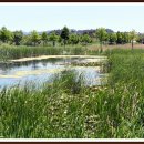 함평파크골프장 이미지