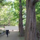 행주나루길 | 고양시 평화누리길(고양누리길 6코스) 스탬프 위치(행주나루길)