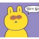 컴포즈커피대구 - 동구 메디밸리로 9 | 컴포즈커피대구