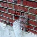 오뚜기체육사 이미지