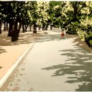 마중 가던 길 이미지