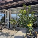 영릉로 | 여주 아울렛 카페 데이트 제주 감성 카페 귤낭 방문 후기