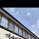 평택 안중 맛집 추천｜48년 장인의 손맛 ‘개수리막국수’ 후기 (막국수/닭갈비)