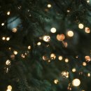 수원-0016 이미지