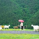 백수목장 이미지