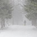 태영목장2 이미지