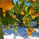 생규농장 이미지