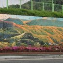 중국관 옛날짜장 이미지