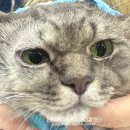 뉴타운동물병원 이미지